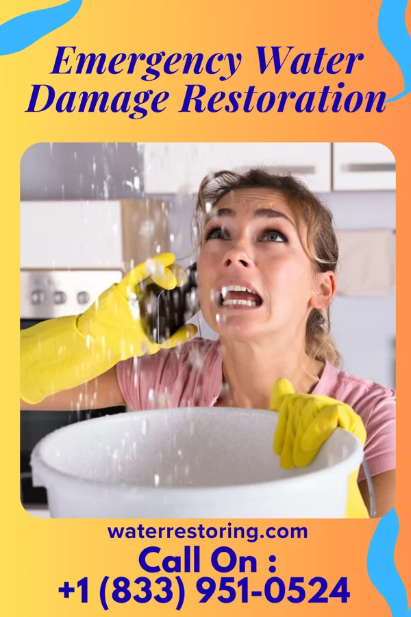 Emergency Water Damage Restoration in Bee, NE