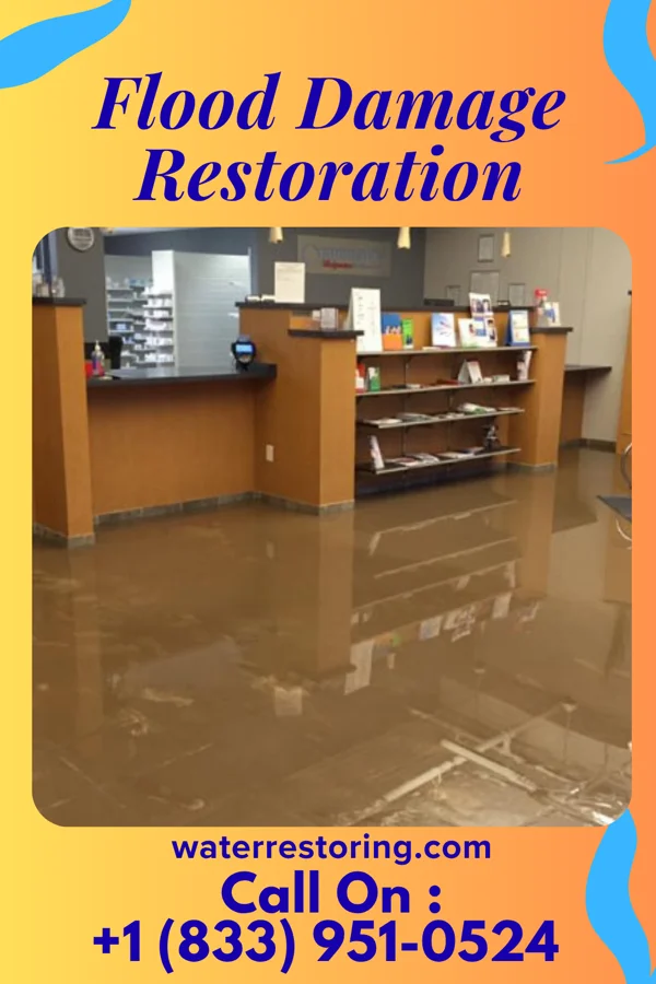 Flood Damage Restoration in Bee, NE