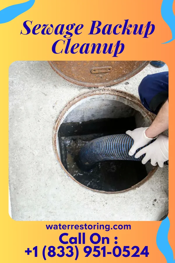 Sewage Backup Cleanup in Bee, NE