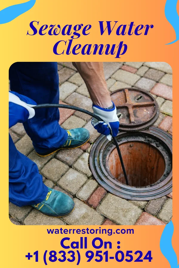 Sewage Water Cleanup in Bee, NE